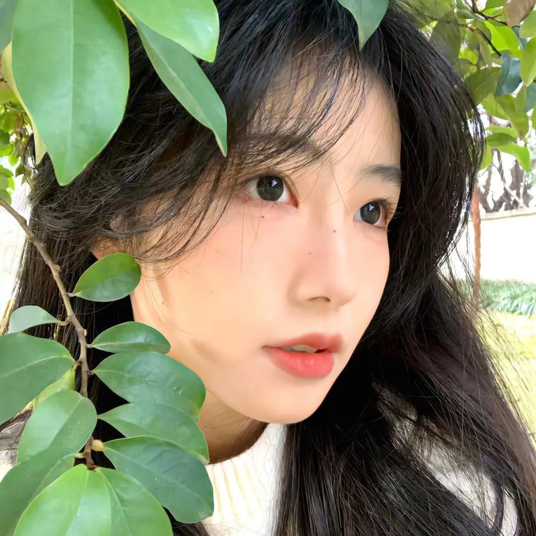 狐狸女士第二季
